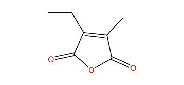 2-Ethyl-3-methylmaleic anhydride